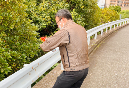 遊びじゃないよ蜂退治